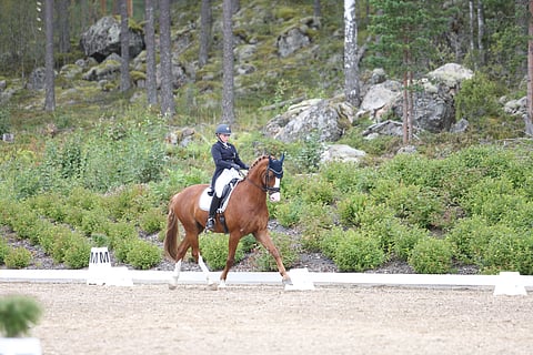 London Eye ja Coco Roine treenaavat äidin ammattimaisen silmän alla: "SItä paremmin menee mitä paremmin ratsastan", sanoo juniori-ikäinen Roine.  