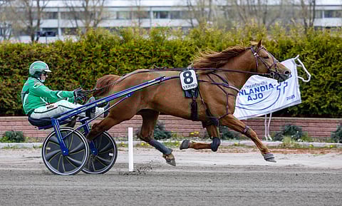 Ari Moilanen ottaa taas perjantaina Kajaanissa tuntumaa V.G. Voittoon.