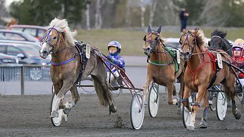 Tuulen Viljo rattaillaan Olli Koivunen