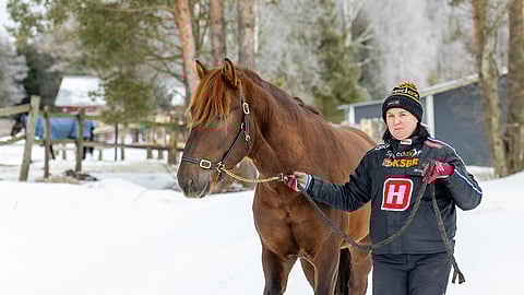 Miia Pulkkasen esittämä Riksun Xavier oli viime vuonna ikäluokkansa nopein suomenhevonen. Talven sairastelujen myötä paluu kilpakentille tapahtuu vasta kesällä. 
