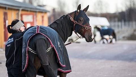 Janita Antti-Roiko sytytti Ubiquarian Facen uuteen lentoon ja ilmoittautui haastamaan kotimaan tähdet paikoista nimikilpailuihin.
