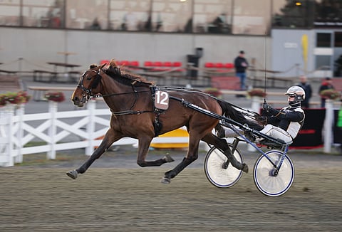 Overhead Panel voitti Kuopiossa Toto75-lähdön radalta 12.
