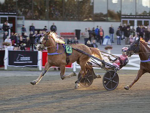 Antti Ojanperän talli otti kaksoisvoiton Savo-ajossa.