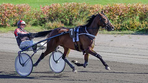 Orlando Madrik rattaillaan Tapio Perttunen