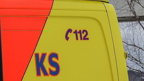 Mikä saa pelkäämään hevosia?