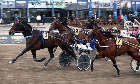 Sahara Vision kiitti Jarmo Saarelaa nappireissusta.