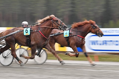 Boscon Visa (4) piti Vieremän Toto75-voitossaan I.P. Kisan (6) ulkopuolellaan.