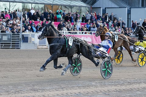 Ravit Solvalla