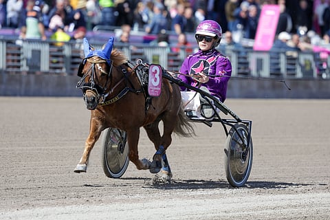 Pikku Humanteri rattaillaan Meja Olsson