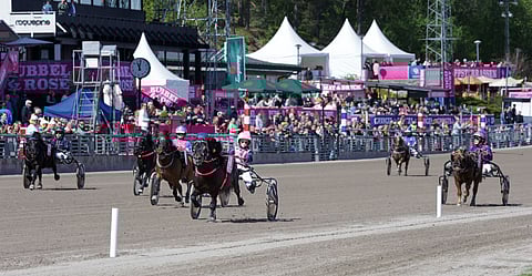 Mini Elitloppet ravit