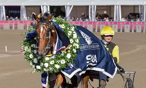 Ravit Solvalla