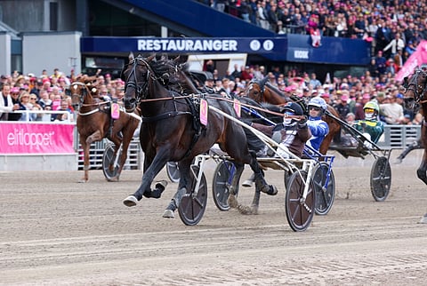 Ravit Elitloppet