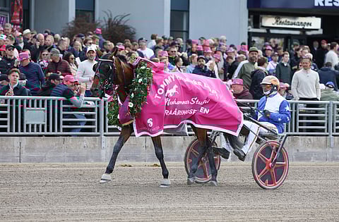 Ravit Elitloppet