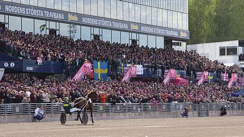 Ravit Elitloppet
