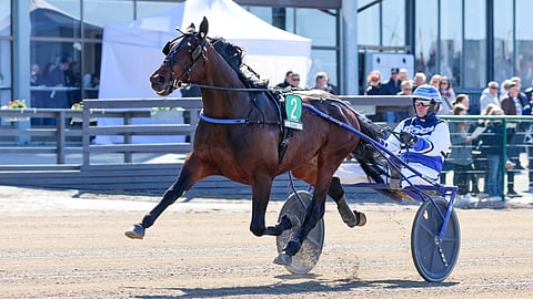 Arctic Crown rattaillaan Pekka Korpi