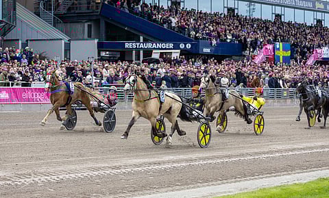 Elitkampen on kylmäveristen suurin ravikilpailu, ja historia tuntee niin suomalaisia, ruotsalaisia kuin norjalaisiakin voittajia.
