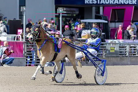 Armani oli kuudes Solvallassa toukokuussa, nyt Härmässä paras.