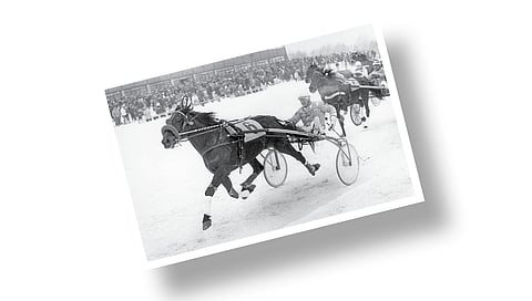 Kuva-arvoitus: Tunnistatko kuvan parivaljakon?