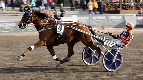 Lämminveriruuna Cheops rattaillaan Tommi Kylliäinen.