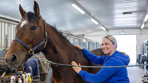 Omat kädet ovat Riina Rekilän tärkein työväline hevosen terveydentilan tarkkailussa.