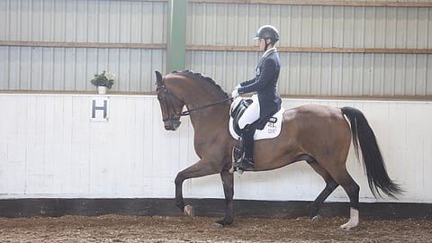 Ville Vaurio ja Dante nähtiin Vihdin inter A -luokassa. 