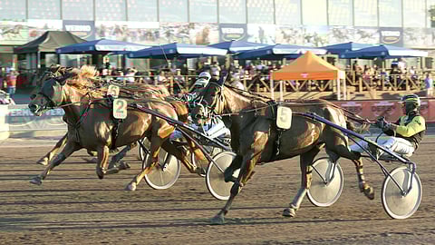 Varjosi ja Ypäjä Päivi 14.8.2024 Vermo