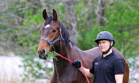 Arvi Martikainen ja Coru Ecanne Arvidson, molemmat pääsivät kesälomalle. 