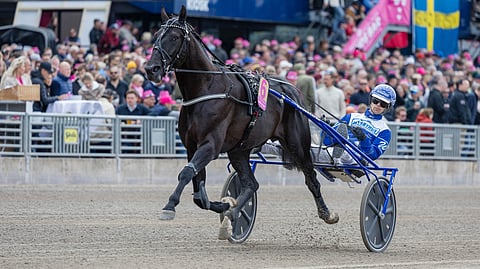 Borups Victory sijoittui Elitloppetissa viidenneksi.