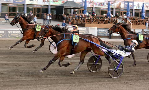 Global Eminent piti pintansa keulasta Vermossa kesäkuussa.