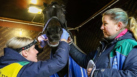 Hevosen hyvinvointitarkastus