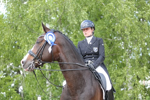 Vähän tähyilyä laitumelle päin. 