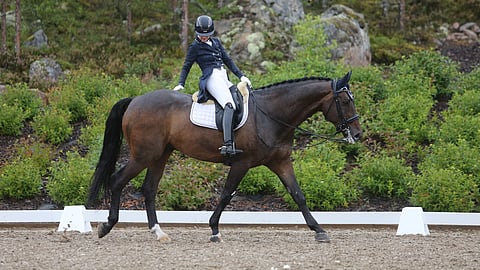 Jenni Linnan ja Fraziskanerin tiet eroavat. 
