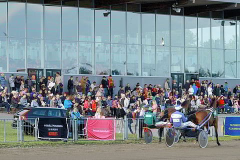 Sunnuntain Toto5-ravit ravattiin Joensuussa.