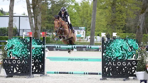 Junioriratsastaja Saara Kojola on loistanut Espanjan luokissa ja tulevana viikonloppuna hän on taas kisakentillä. Kuvassa Quartz van de Heemsteden satulassa. 