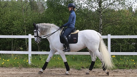 Esimerkkiratsukkona toimivat NIKA Academyn opettaja Annevi Monto ja hevonen Miss. 