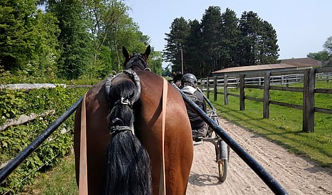 Dominik Locqueneux on panostanut valmennusolosuhteisiin. Joanna Karling sai myös paljon käytännön vinkkejä tulevaisuutta ajatellen.