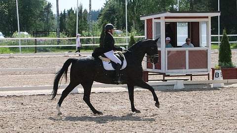 Sirpa Degerth-Káldi ja San Diego.