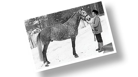 Kuva-arvoitus: Tiedätkö ketkä ovat kuvassa?