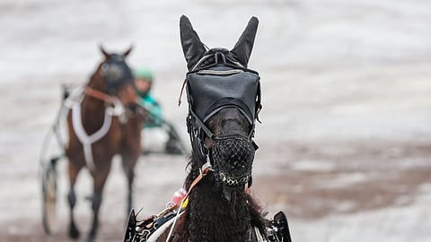 Pullarinverkkoa ei saa enää torstaista alkaen käyttää kilpailutilanteessa.