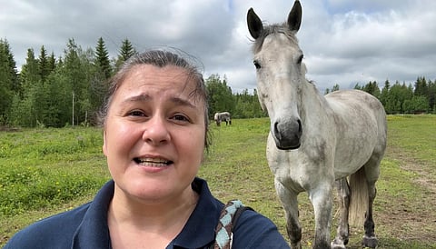Juhannuksen vietämme rennosti. Ossi laitumella kavereidensa kanssa, minä maalla perheen seurassa.