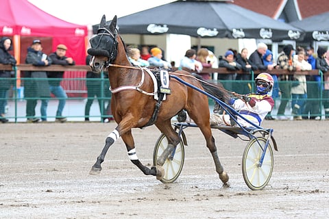 Ubiquarian Facen Härmän startti päättyi keskeytykseen.