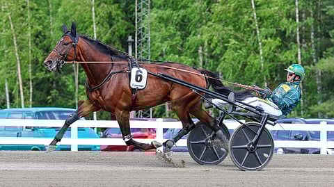 Massimo Hoist ja Hannu Torvinen