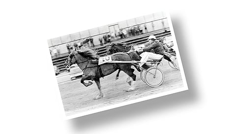 Kuva-arvoitus – tunnistatko kuvan hevosen ja ihmisen?