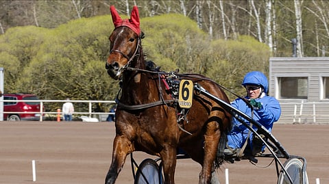 Tim Jerry ja Kaj Timgren