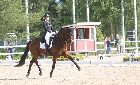 Tanskalle PM-joukkuekulta kouluratsastuksessa – joukkueen parhaalla on vasta muutama GP takana