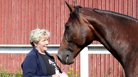 Pirjo Vauhkonen ja Up-Date Hoss vuonna 2017.