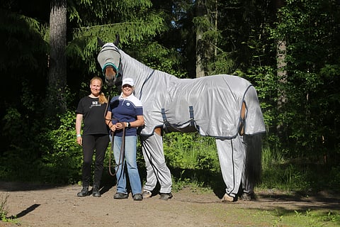 Saara Turklin, Taina Teittinen ja Prince Vaillant Carrus PM-kisaviikonloppua viettämässä. 
