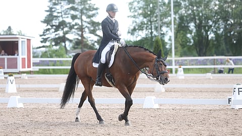 Dante ei ollut tyytyväinen kankikuolaimiinsa. 