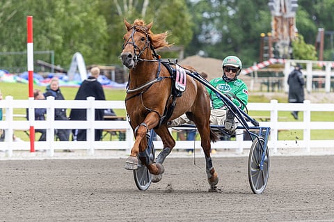 V.G. Voitto hamuaa toista vuotta peräkkäin Suurmestariksi.