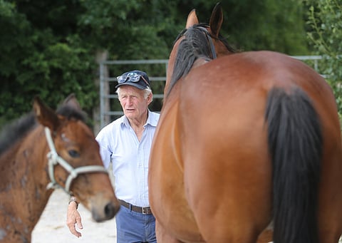 Tästä huippusukuisesta ravivarsasta on Laurent Abrivard kiinnostunut. 
